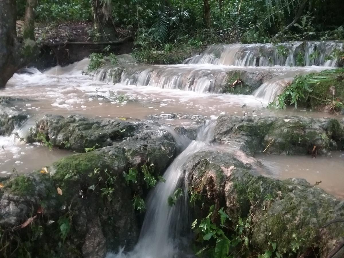 Unitedville Hidden Haven旅舍 外观 照片